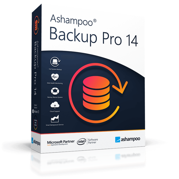 ASHAMPOO BACKUP PRO 14